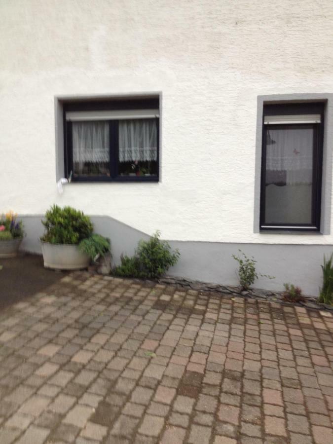 Ferienappartment Mit Schlafzimmer Farschweiler Экстерьер фото